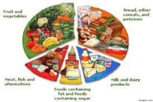 খাদ্যের শ্রেণিবিভাগ । Classification of Food