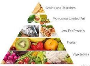খাদ্যের শ্রেণিবিভাগ । Classification of Food