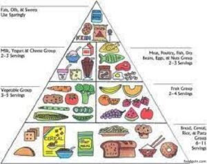 খাদ্যের শ্রেণিবিভাগ । Classification of Food