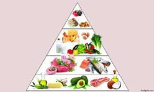 খাদ্যের শ্রেণিবিভাগ । Classification of Food