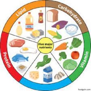 খাদ্যের শ্রেণিবিভাগ । Classification of Food