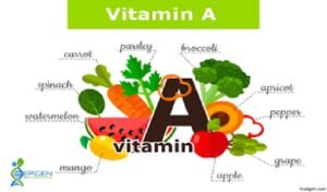 চর্বিতে দ্রবণীয় ভিটামিন এ । Fat soluble Vitamin-A