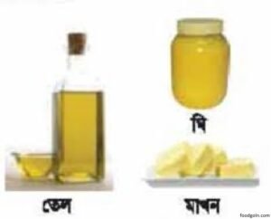 লিপিডের বা চর্বির পরিপোষক বা নিউট্রিয়েন্ট । Nutrients of Lipids or Fat 