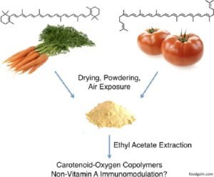 জৈবিক অণু প্রোভিটামিন । Organic Anu Provitamins 2 জৈবিক অণু প্রোভিটামিন । Organic Anu Provitamins