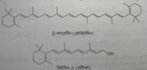 জৈবিক অণু প্রোভিটামিন । Organic Anu Provitamins 4 জৈবিক অণু প্রোভিটামিন । Organic Anu Provitamins
