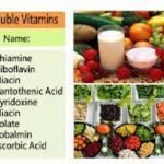 ডাউনলোড, খাদ্য বিষয়ক বই ডাউনলোড 50 পানিতে দ্রবণীয় ভিটামিনসমূহ । Water Soluble Vitamins