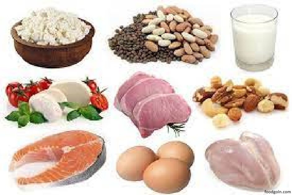 প্রোটিন বা আমিষ জাতীয় খাদ্য । Proteins