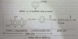 ভিটামিন বা খাদ্যপ্ৰাণ । Vitamins 5 ভিটামিন বা খাদ্যপ্ৰাণ ভিটামিন বা খাদ্যপ্ৰাণ । Vitamins