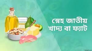 স্নেহজাতীয় বা চর্বিজাতীয় খাদ্য । Fats