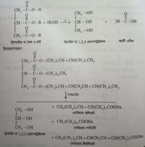 স্নেহজাতীয় বা চর্বিজাতীয় খাদ্য । Fats