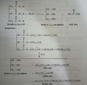স্নেহজাতীয় বা চর্বিজাতীয় খাদ্য । Fats