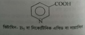 ভিটামিন বি৫ কমপ্লেক্স বা নিকোটিনিক এসিড বা নায়াসিন । Vitamin B5 complex or Nicotinic Acid or Niacin 