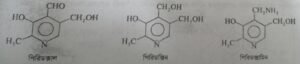 ভিটামিন বি৬ কমপ্লেক্স বা পিরিডক্সিন । Vitamin B6 complex or Pyridoxine