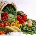 ডাউনলোড, খাদ্য বিষয়ক বই ডাউনলোড 20 পুষ্টিতে খনিজ উপাদানের ভূমিকা । The Role of Minerals In Nutritions