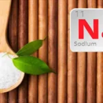 ডাউনলোড, খাদ্য বিষয়ক বই ডাউনলোড 4 পুষ্টিতে সোডিয়ামের ভূমিকা : সোডিয়াম প্রাণরাসায়নিক কাজ