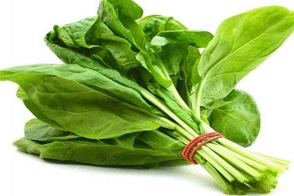 খাদ্য প্রাণরসায়নের সুযোগ ব্যাখ্যা