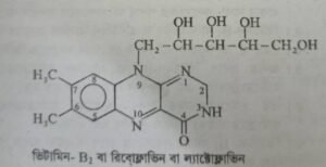 ভিটামিন বি২ কমপ্লেক্স বা রিবোফ্লাভিন বা ল্যাক্টোফ্লোভিন । Vitamin-B2 complex or Riboflavin or Lactoflavin