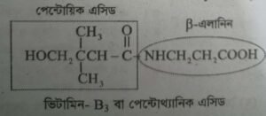 ভিটামিন  বি৩ কমপ্লেক্স বা পেন্টোথ্যানিক এসিড । Vitamin-B3 complex or Pantothanic Acid