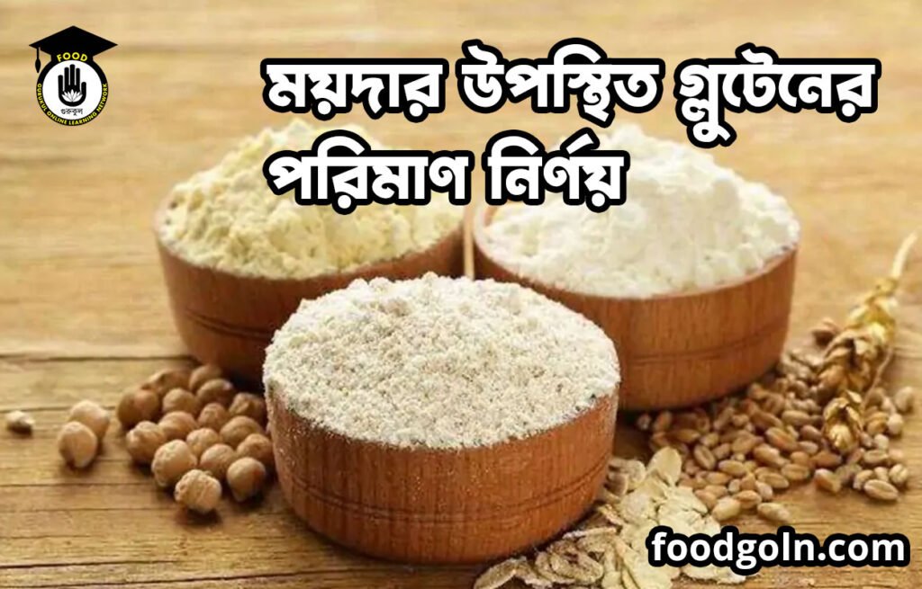 ময়দার উপস্থিত গ্লুটেনের পরিমাণ নির্ণয় | ফুড প্রেসেরভেশন