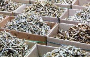 শুটকি মাছ, خشک مچھلی , Dried Fish, السمك المجفف , सूखी मछली