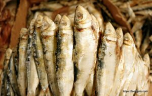 শুটকি মাছ, خشک مچھلی , Dried Fish, السمك المجفف , सूखी मछली