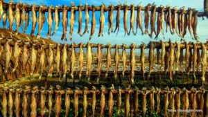 শুটকি মাছ, خشک مچھلی , Dried Fish, السمك المجفف , सूखी मछली