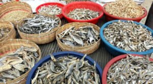 শুটকি মাছ, خشک مچھلی , Dried Fish, السمك المجفف , सूखी मछली