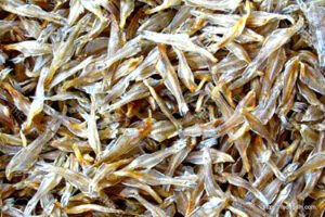 শুটকি মাছ, خشک مچھلی , Dried Fish, السمك المجفف , सूखी मछली