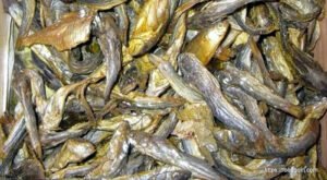 শুটকি মাছ, خشک مچھلی , Dried Fish, السمك المجفف , सूखी मछली