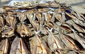 শুটকি মাছ, خشک مچھلی , Dried Fish, السمك المجفف , सूखी मछली