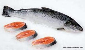 স্যামন মাছ, سالمن مچھلی , Salmon Fish, سمك السلمون , सैलमन मछली