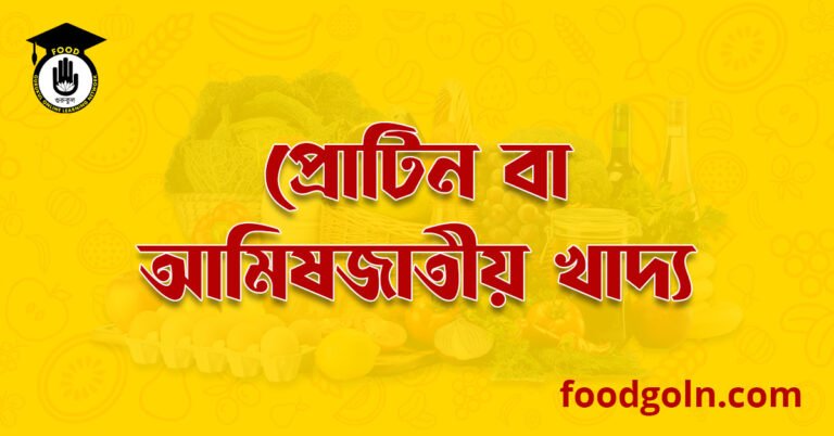প্রোটিন বা আমিষ জাতীয় খাদ্য