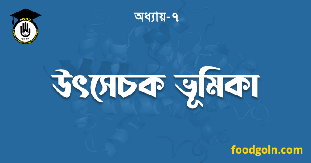 উৎসেচক ভূমিকা
