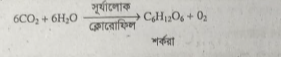 কার্বোহাইড্রেট এর ভূমিকা ও সংজ্ঞা 