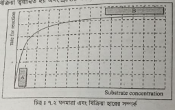 সাবস্ট্রেট এর প্রভাব বর্ণনা কর