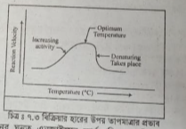 সাবস্ট্রেট এর প্রভাব বর্ণনা কর