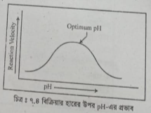 সাবস্ট্রেট এর প্রভাব বর্ণনা কর