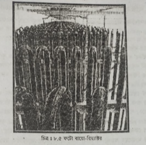 ফটো বায়ো-রিয়্যাক্টর 