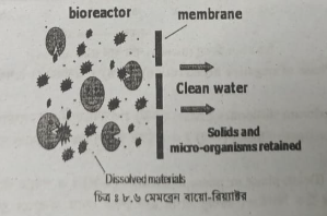 মেমব্রেন বায়ো-রিয়্যাক্টর
