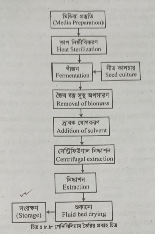 প্রবাহ চিত্রের মাধ্যমে বিশ্ব জৈব প্রক্রিয়া বর্ণনা