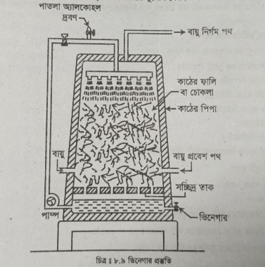 16 ভিনেগার উৎপাদন