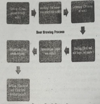 বিয়ার এর গাঁজন প্রক্রিয়া ব্যাখ্যা 