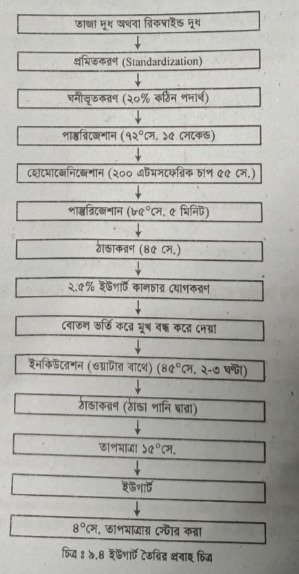 ইউগার্ট (দধি) পানীয় তৈরির প্রক্রিয়া বর্ণনা 