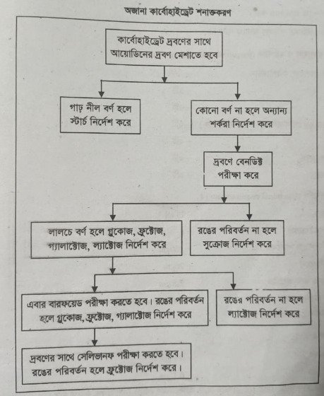 কার্বোহাইড্রেট নির্ণয়