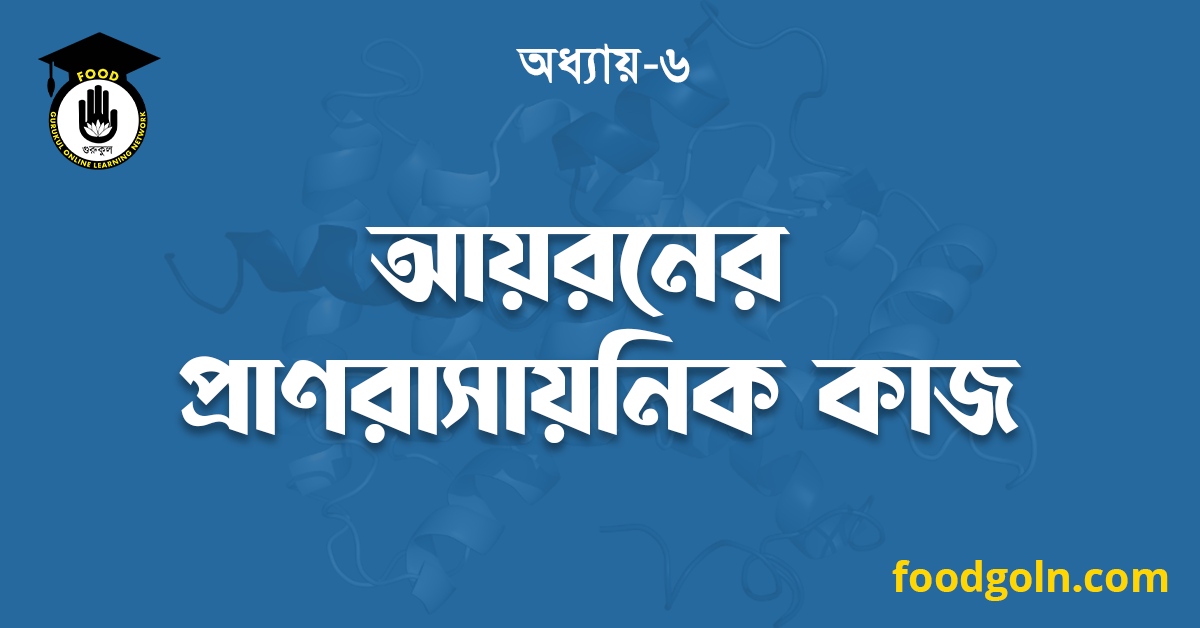 আয়রনের প্রাণরাসায়নিক কাজ