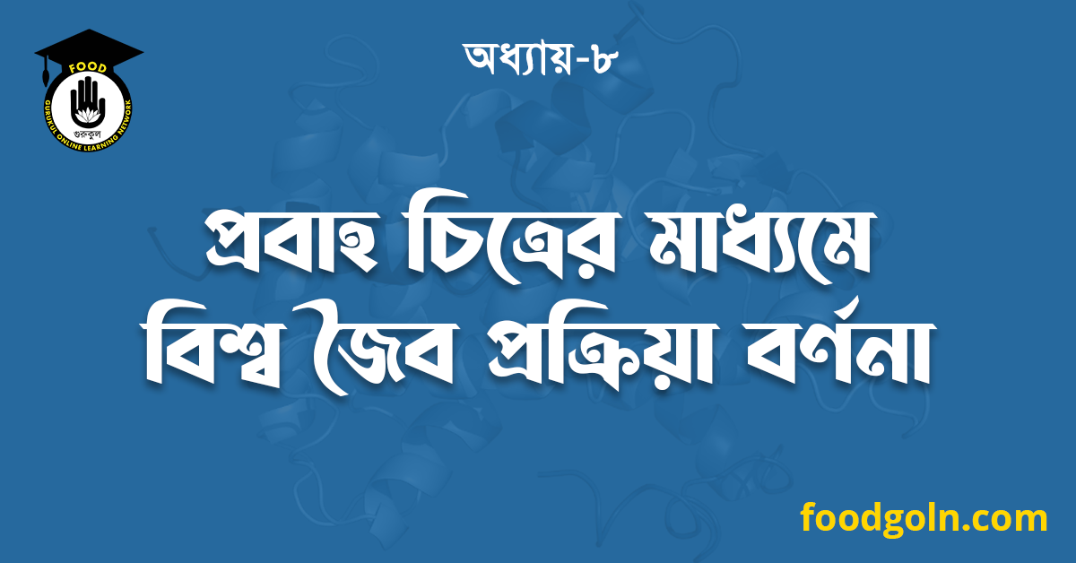 প্রবাহ চিত্রের মাধ্যমে বিশ্ব জৈব প্রক্রিয়া বর্ণনা