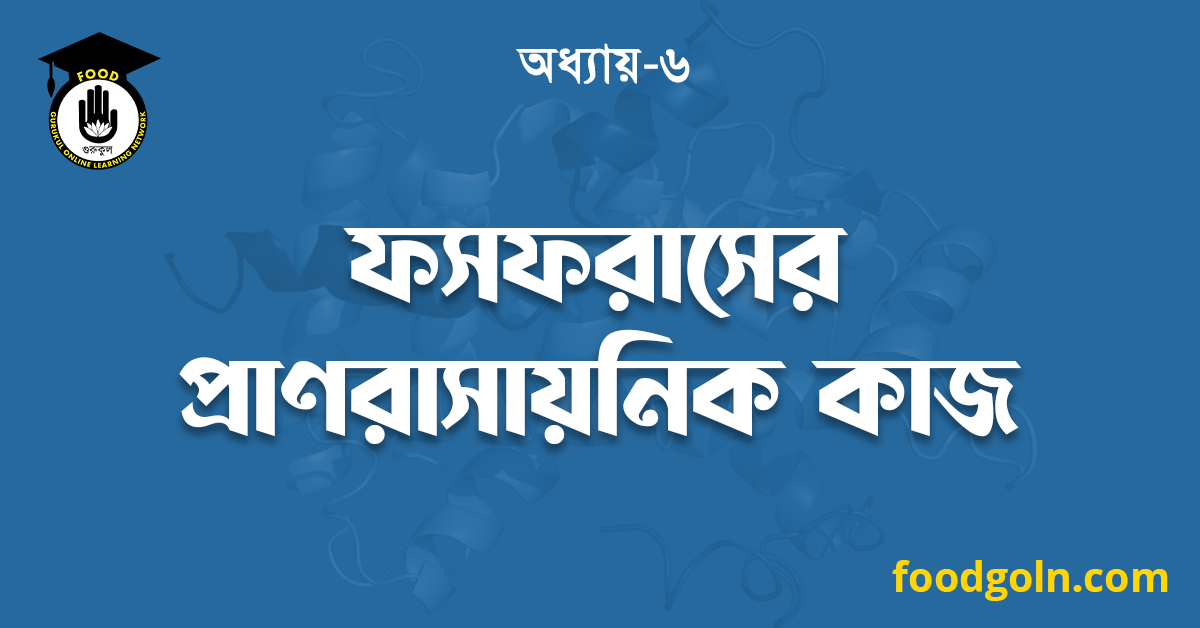 ফসফরাসের প্রাণরাসায়নিক কাজ 1 ফসফরাসের প্রাণরাসায়নিক কাজ