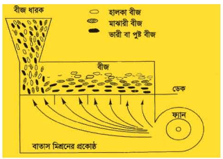 পুষ্ট, অপুষ্ট দানা ও অপদ্রব্য