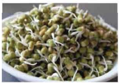 যুগাঙ্কুর তৈরি করা অনুশীলন