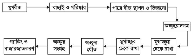 যুগাঙ্কুর তৈরি করা অনুশীলন